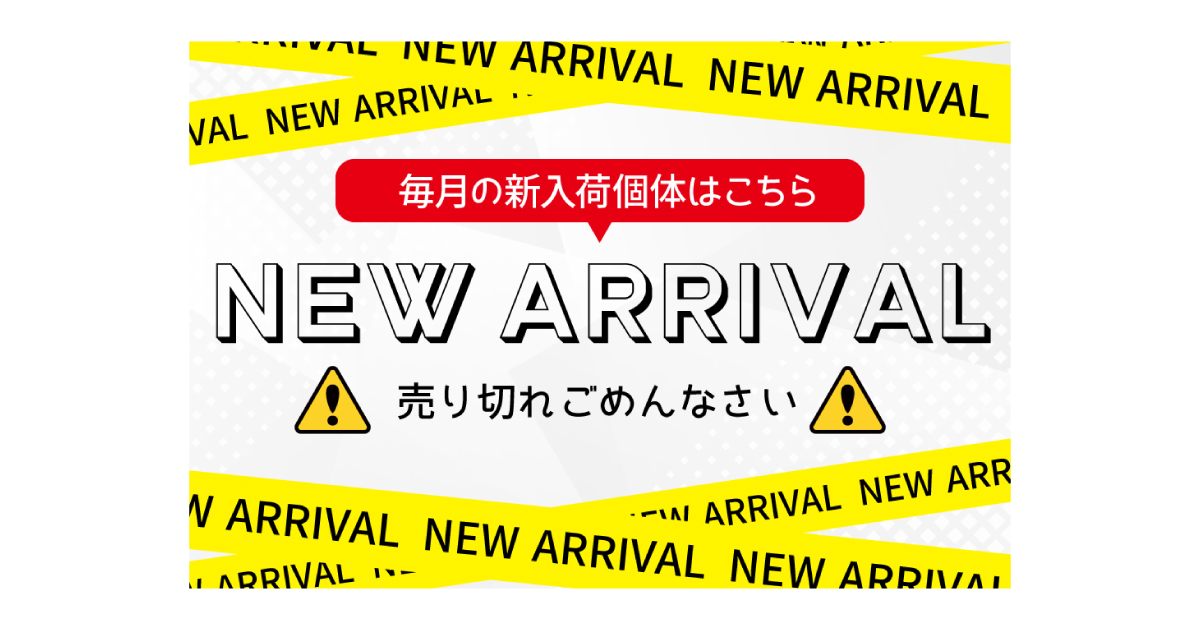 タペストリー・NAVI新入荷