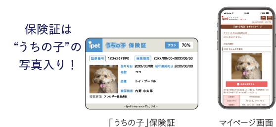 🐰👑ペットの名前ランキング2024✨🐤 アイペット損保は、ペットの名前についての調査を実施しました。今回の調査では、2年ぶりに犬・猫ともに「むぎ」が総合首位に！また、犬・猫の総合ランキング、性別ランキングなどすべてのランキングにおいて初登場の名前があり