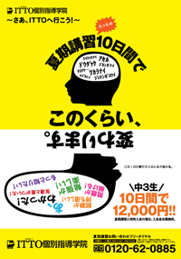長方形だから面白い！『広告チラシ』で楽しいおりがみ