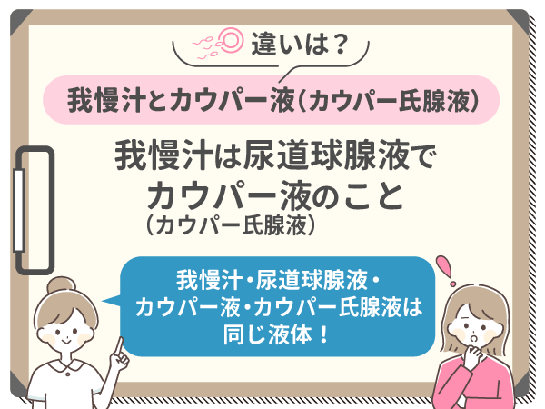 専門医が解説！我慢汁で妊娠ってするの？ – メンズ形成外科