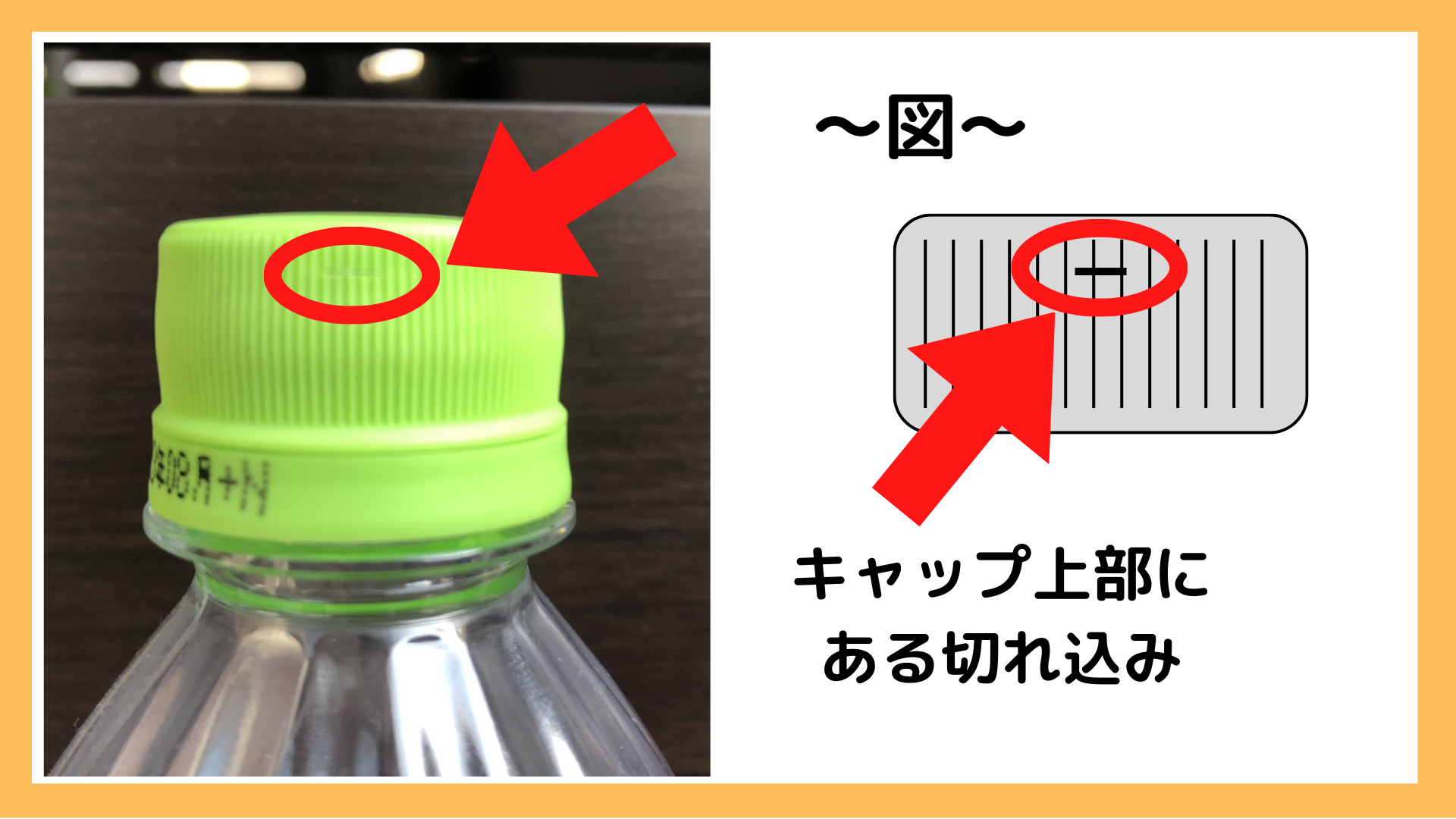 ペットボトルとキャップを分別する本当の理由株式会社小嶋衛生社