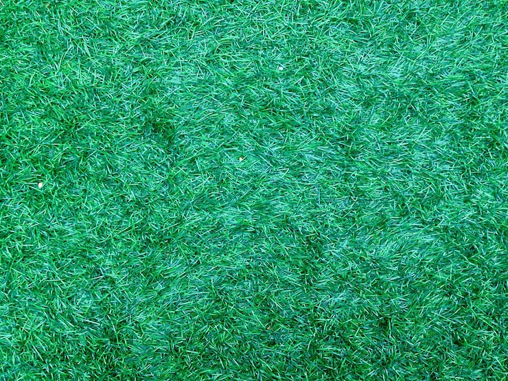 芝生～パターン＆テクスチャ作成