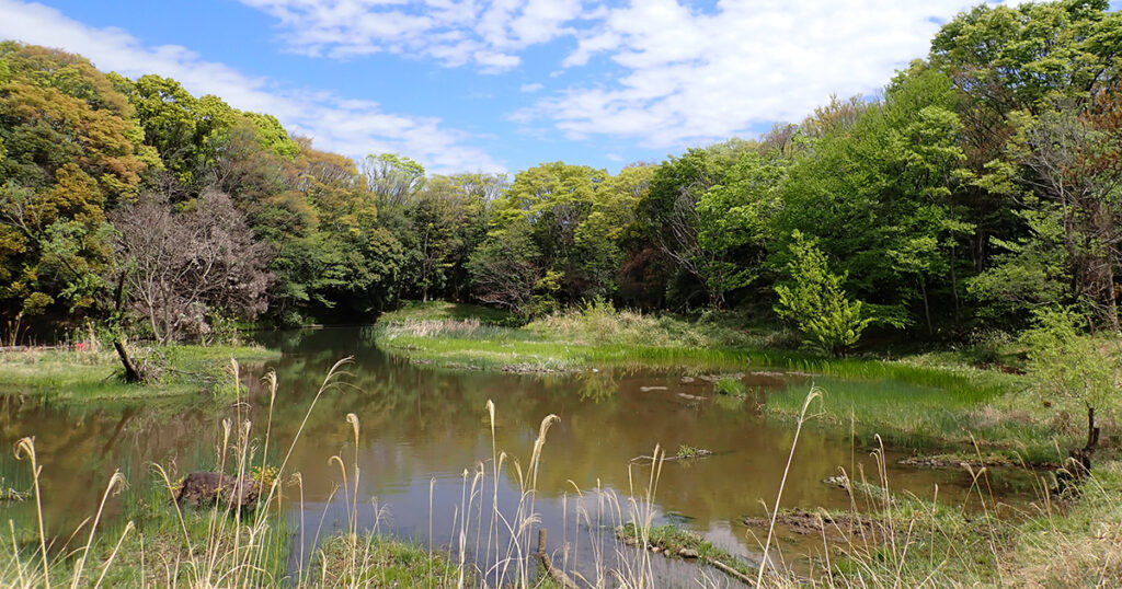 成増】東京のはしっこ、江戸の伝統とプライドを守りながら発展する街｜三井のリハウス