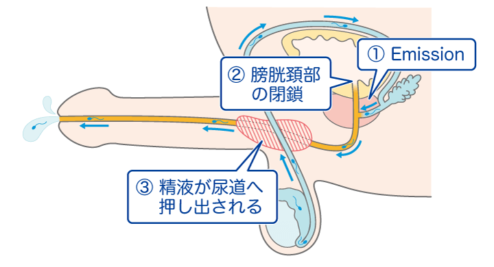 何回ヤれば…ッ 気がすむんだよ♡」射精しまくり搾りまくりの使用済みゴム大量生産がぞうｗｗ –