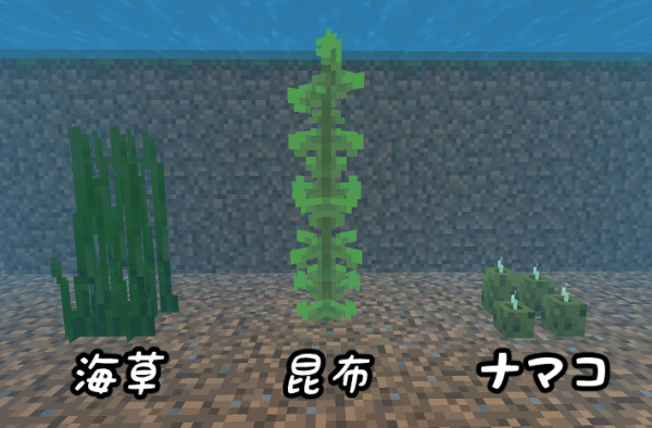 マイクラ日記77 水族館内装作り！魚も亀もイルカも大水槽へ投入ぽじとらオンライン