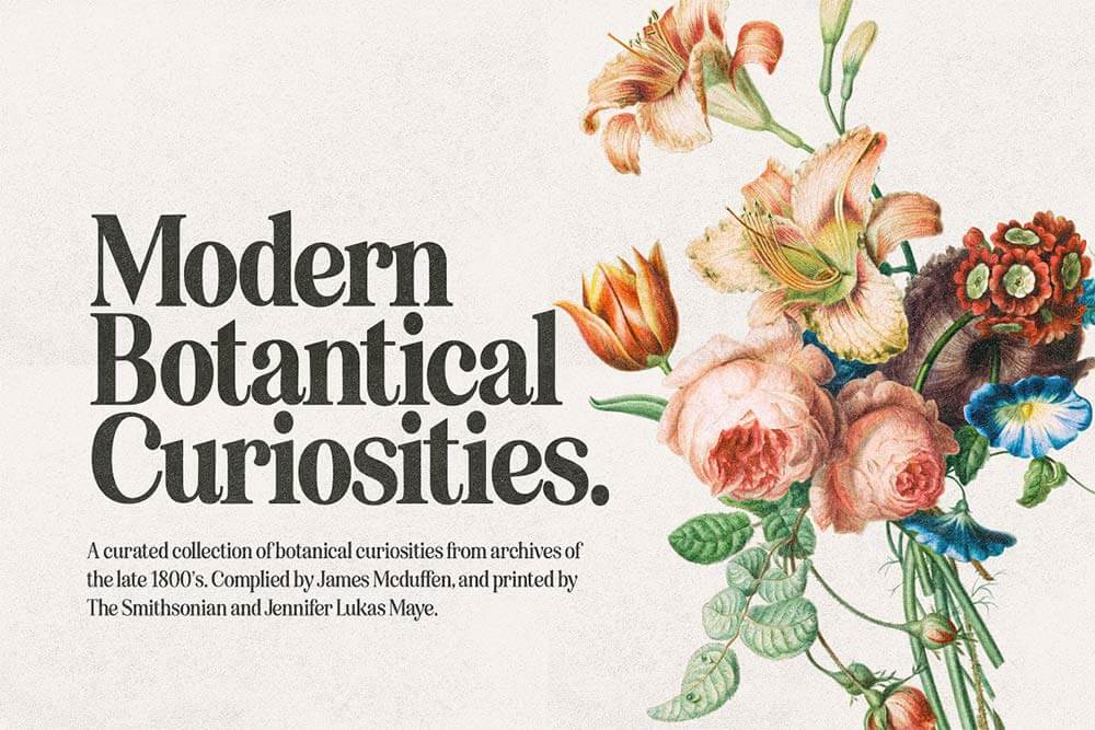 フォント見本COCOBARISIGN