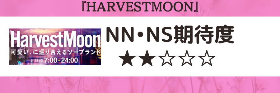 名古屋でNS/NNできるソープランドまとめ！【全9店舗】 | enjoy-night[エンジョイナイト]