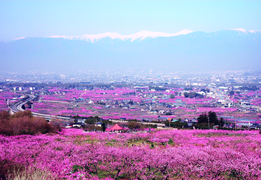 笛吹市 総合トップ