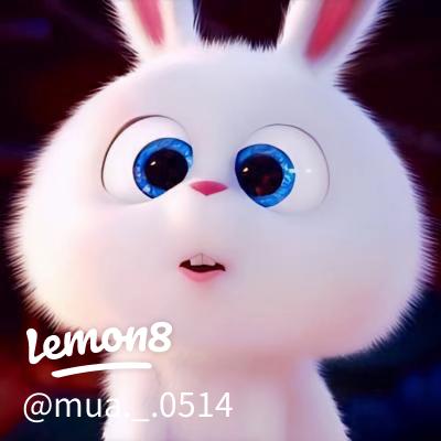 韓国風ぬいぐるみアイコンで可愛さアップ！簡単作成＆人気のスタイル紹介