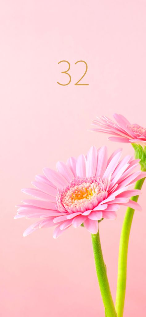 シウマ 数字 待ち受け 32」の検索結果