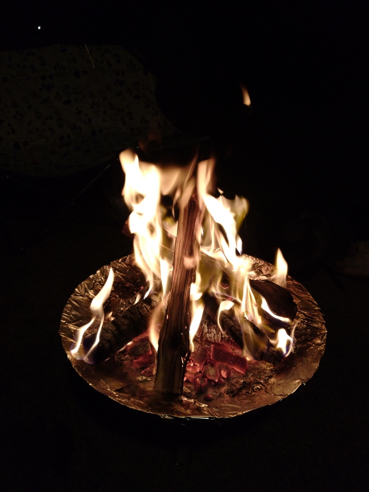 購入レビュー 初心者がコールマンファイアーディスクとソトフィールドチャッカーで手軽に焚き火してみたサボテンを投げつけてみる