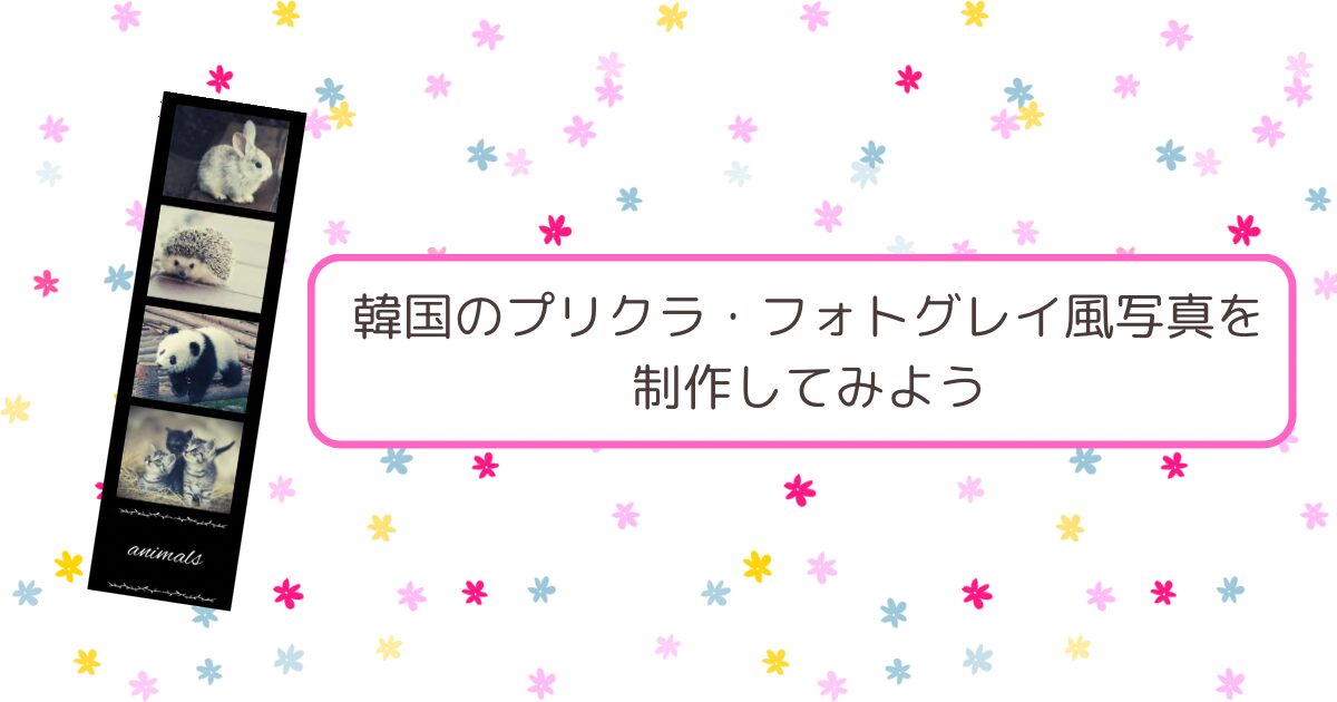 無料 韓国プリクラ「フォトグレイ」風写真の作り方とおすすめ編集アプリ 5 選 2025年最新版