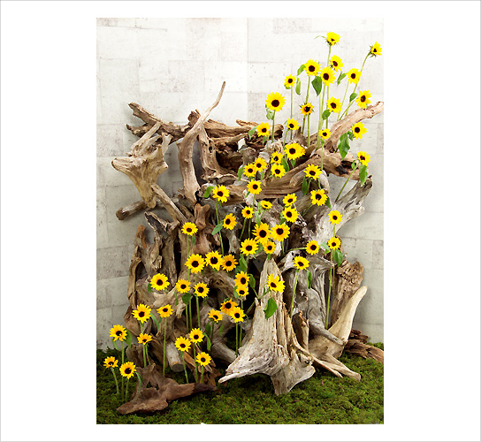 170 件の「ショーウィンドウ」のアイデアを今すぐ保存ショー ウィンドウ、クリスマス デコレーション、ペーパーフラワー など