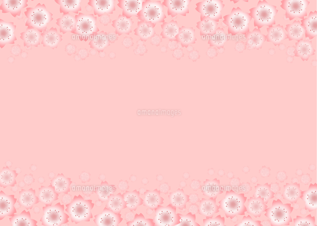 ピンクのフレーム