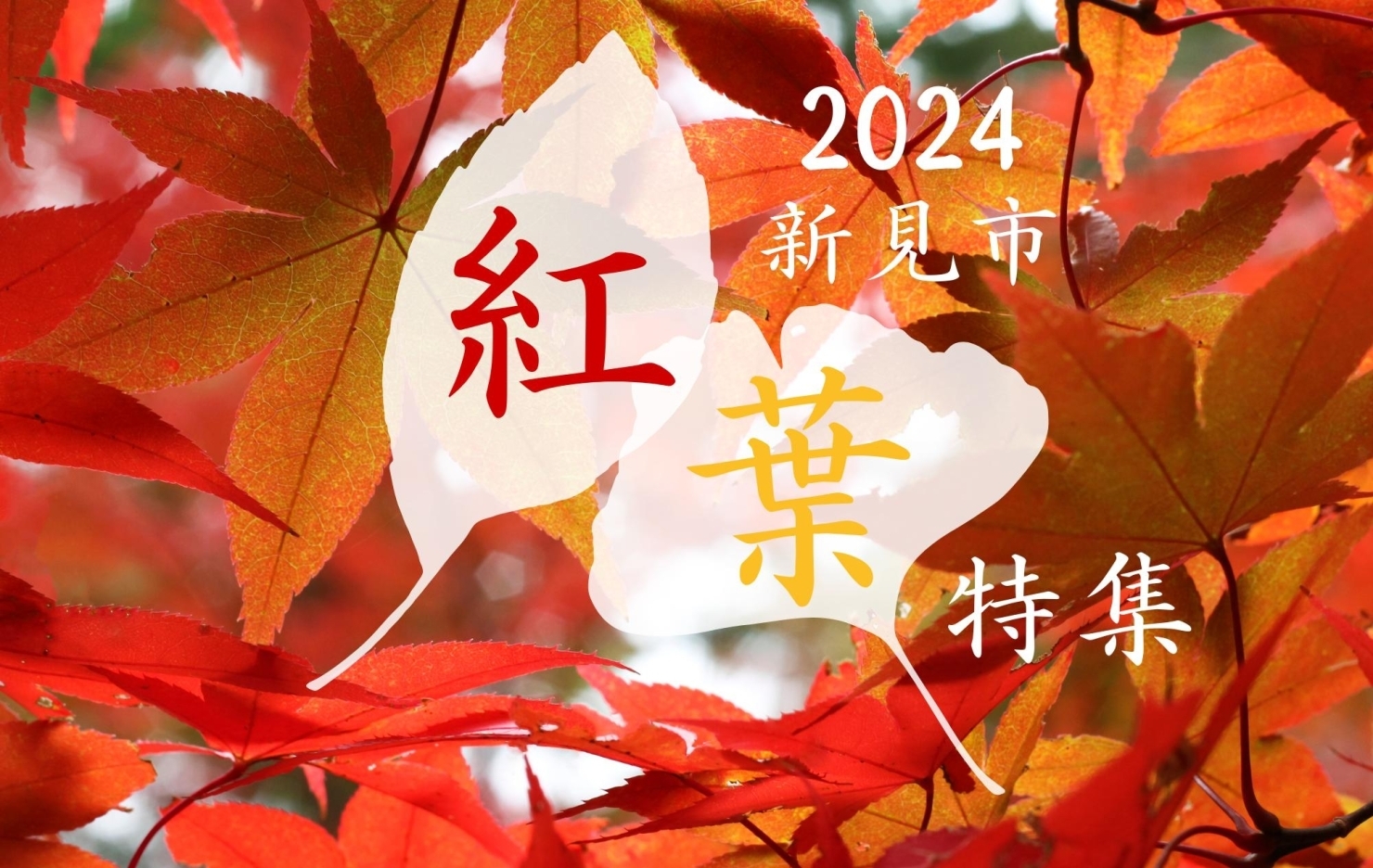 酒田市・遊佐町・庄内町エリア「紅葉の美」 | 魅て魅て、東北！【酒田市・遊佐町・庄内町エリア】| まいぷれ[酒田]