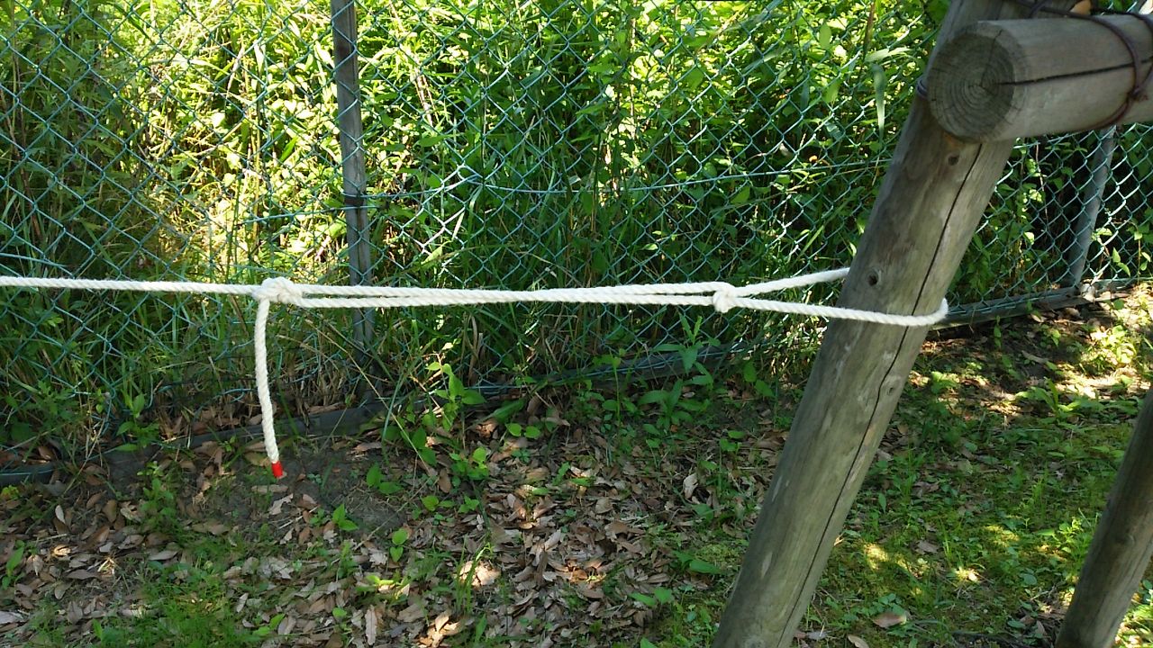 トートラインヒッチ 自在結び ロープワークソロニワ