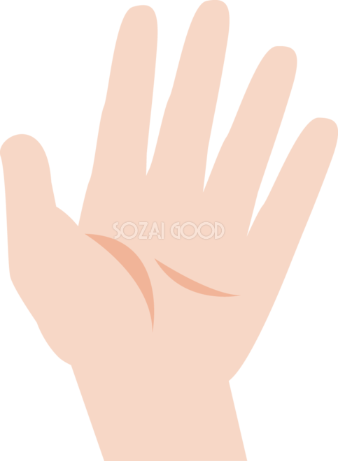 304,100点を超える女性の手のイラスト素材、ロイヤリティフリーのベクター素材グラフィックスとクリップアート - iStock手のひら,ネイル, 波紋