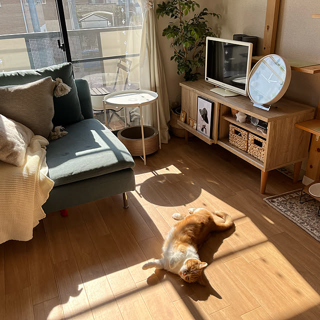 IKEA 組み立て ソーデルハムン SÖDERHAMN 組み立て IKEA ソファ 2人掛けソファ 同棲カップル20代 デート 休日2人暮らし 都内23区 1SLDK - YouTube