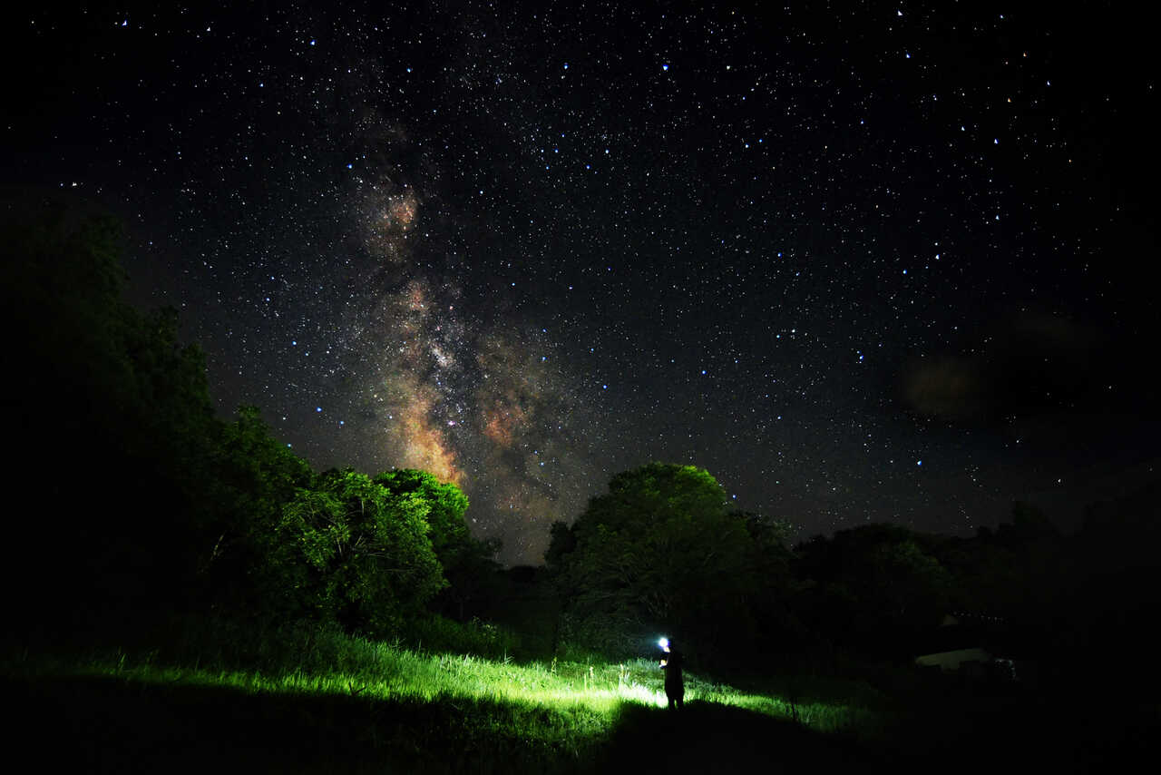 Wordで暗い写真を明るく修正する方法できるネット