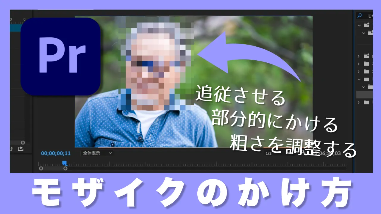Premiere Pro モザイクを自動で追従させる方法動画フリー素材 -サクソラまてりある