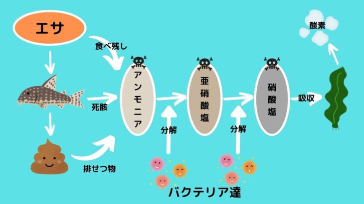 フィルトレーションとは - 安積濾紙株式会社 - AZUMI FILTER PAPER CO.,LTD