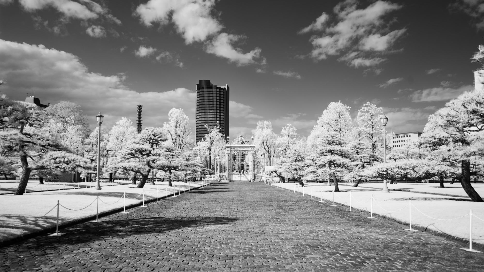 赤外線カメラで墨書をクッキリと - 株式会社天峰建設