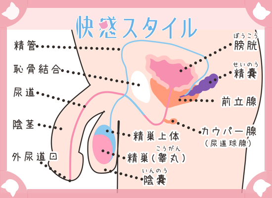 潮吹きのやり方を漫画で解説！気持ちいいセックスのコツ