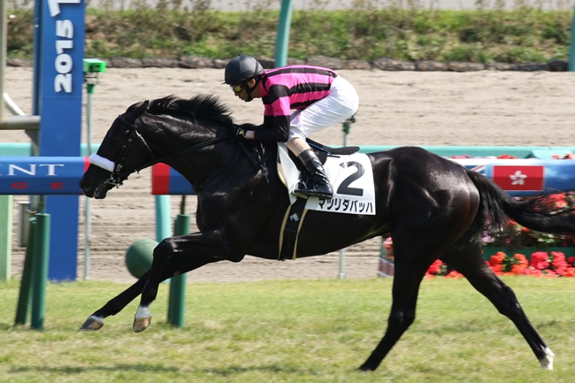 悪徳競馬予想サイトに騙された私。信頼できる優良競馬予想サイトの選び方。詐欺サイトの見極め方 | ドンナの競馬ブログ～馬券データ研究所