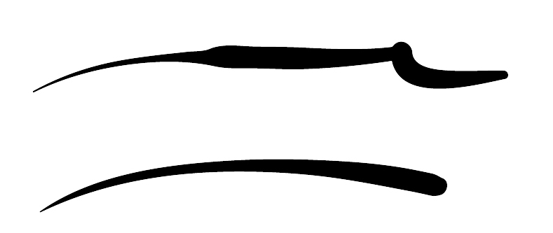 商用利用無料、水墨画の繊細な線、面、ぼかしを表現できる！まるで和筆のようなプロ仕様のブラシ素材 -Japan ProBrush™コリス