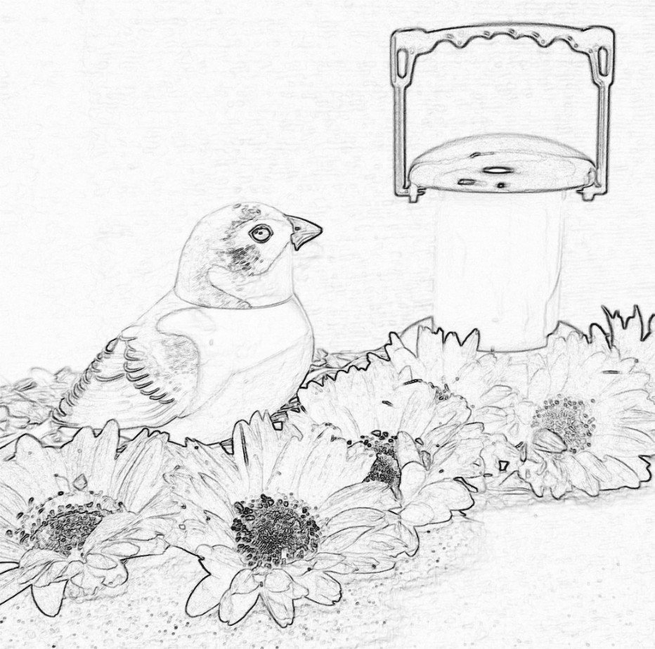 画像を色鉛筆スケッチ風にする - 無料WEBアプリ - DataChefTechLagoon