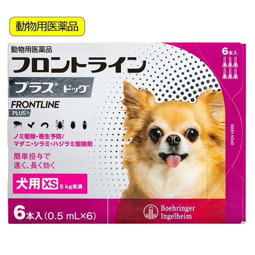 焼きたてクッキーを舐めたい犬 VS 飼い主…目をひんむくパグの鬼の形相に36万人が注目「電車で見て吹き出したわ」｜まいどなニュース