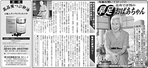 新聞風チラシデザインA4サイズ