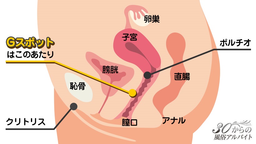 女性の潮吹きのやり方！コツと練習方法 - 夜の保健室