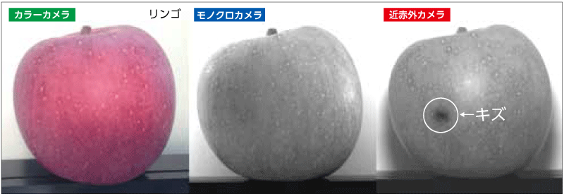 デジカメで赤外線写真を撮る １ カメラの改造 : エクランの撮影日記