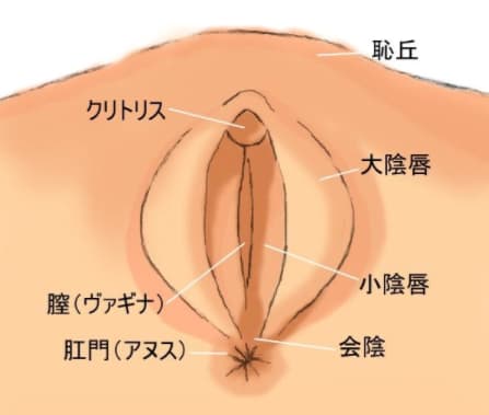 まんこのしまりはあまり関係ない！？ ヤリチンが名器だと思った女性の膣 |