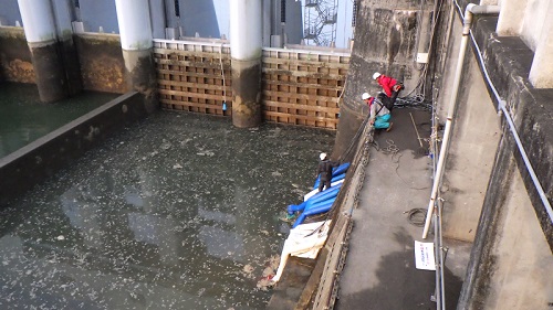 求人】ゆりかご三河 刈谷ルーム｜刈谷市 刈谷駅｜エステアイ求人