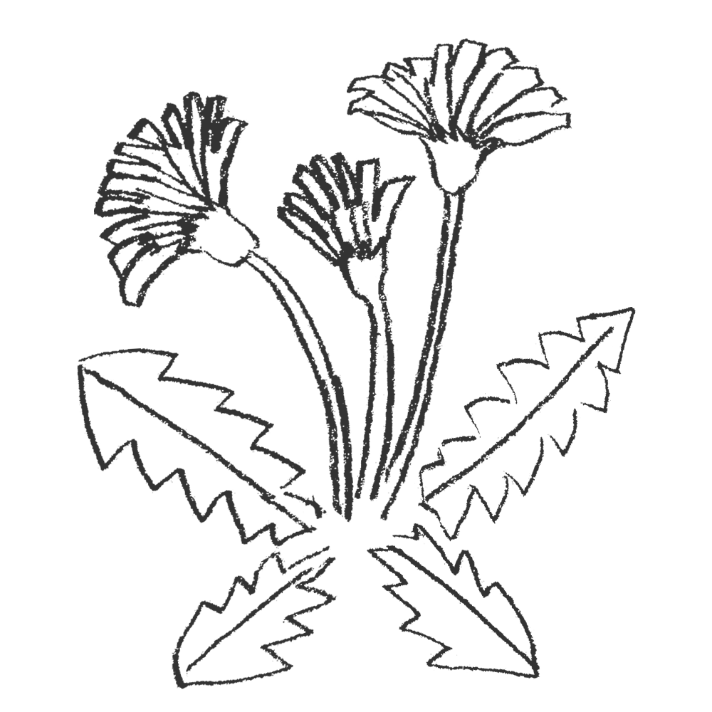 背景の写真素材写真素材なら「写真AC」無料 フリー ダウンロードOK