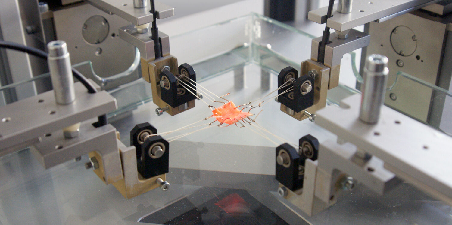 バーチャル・プロレス2 ～王道継承～』2000年 ニンテンドウ64 - レトロゲームの説明書保管庫