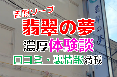 翡翠の夢 | 風俗・ソープ口コミ体験談ブログ【うしろやぐら】