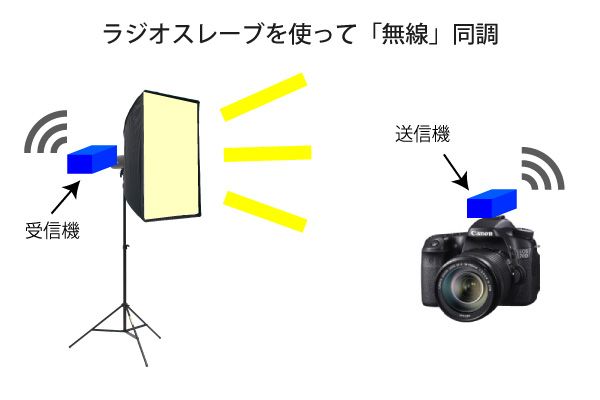モノブロックストロボとジェネレーターとの違い。撮築サツチク ストロボ撮影セッティングサービス 機材手配・セッティング・撮影レッスン