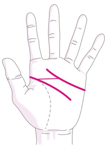 手相で珍しい超貴重な形は？ ますかけ線や神秘十字線、さらにすごい線は？ – grapeグレイプ