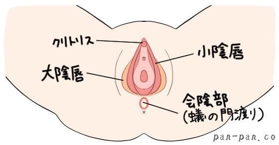 女性が気持ちいいと感じる上手な手マンのやり方やコツを徹底解説！｜駅ちか！風俗雑記帳