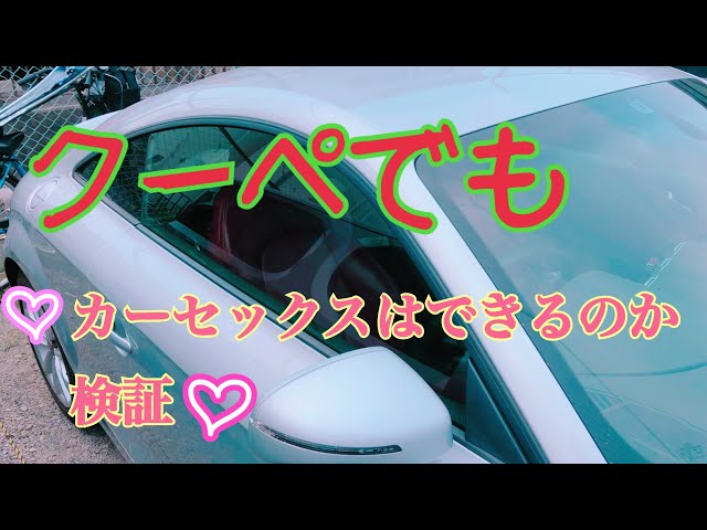 車の中で見知らぬ人とのセックス