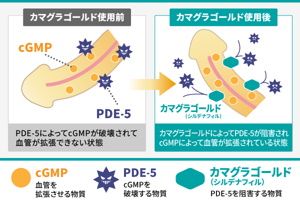 フォーム入力 | 資料DL Flexible