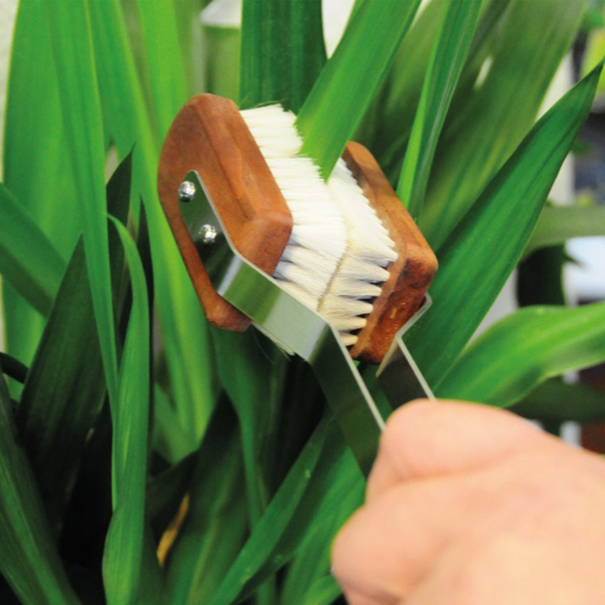 フランカー FL の役割とは ラグビー・ポジション解説THE ANSWER