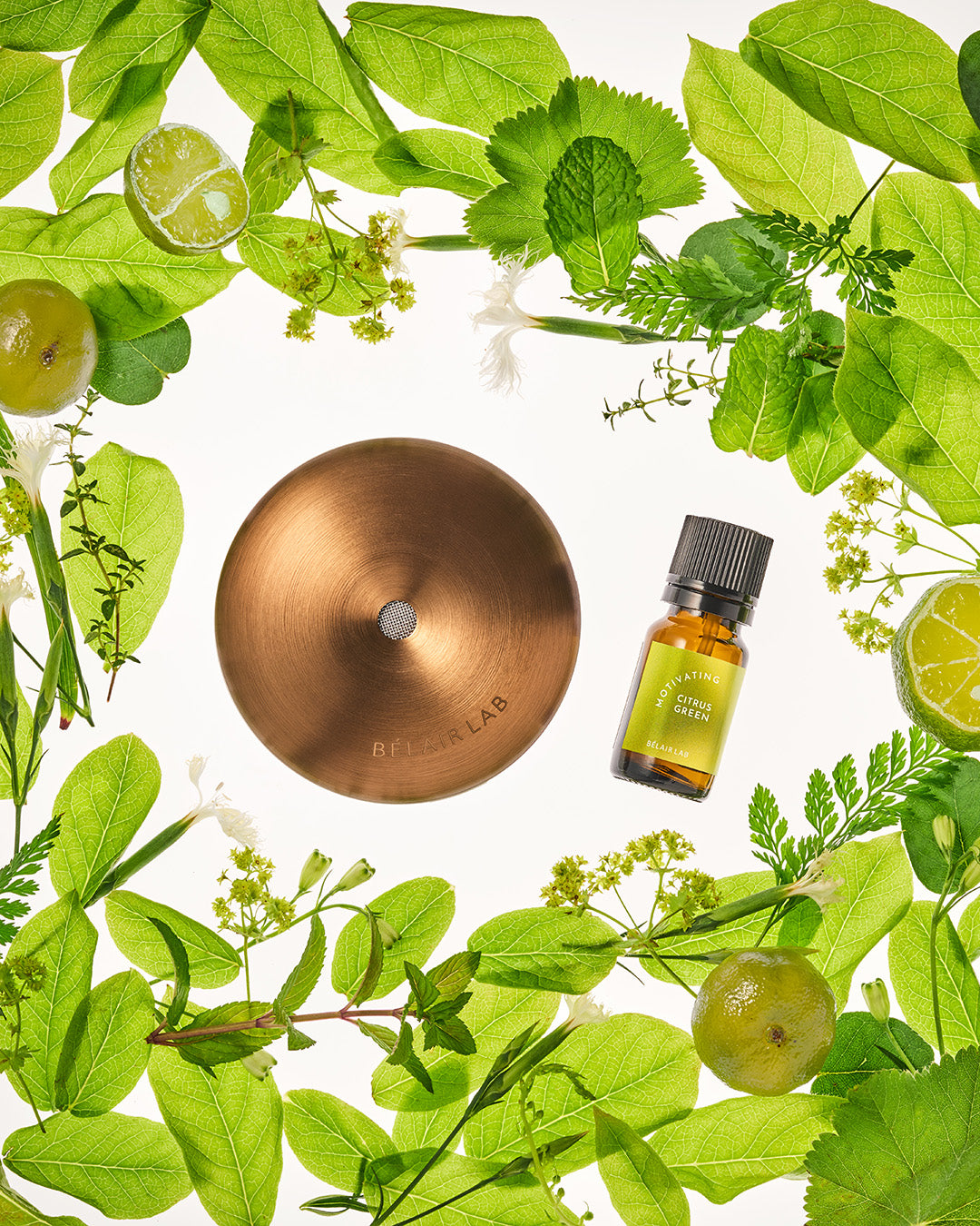 グリーン”を描くフュメダイアルは圧巻の美しさ「パイオニア」コレクションから2つの注目作が誕生WATCHNAVI Salon