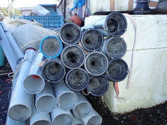 表浜アナゴ宮城県全国のプライドフィッシュプライドフィッシュ