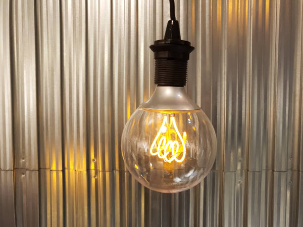 無添加 石油王のカレー 1人前 冷凍 化学調味料不使用 グルテンフリ