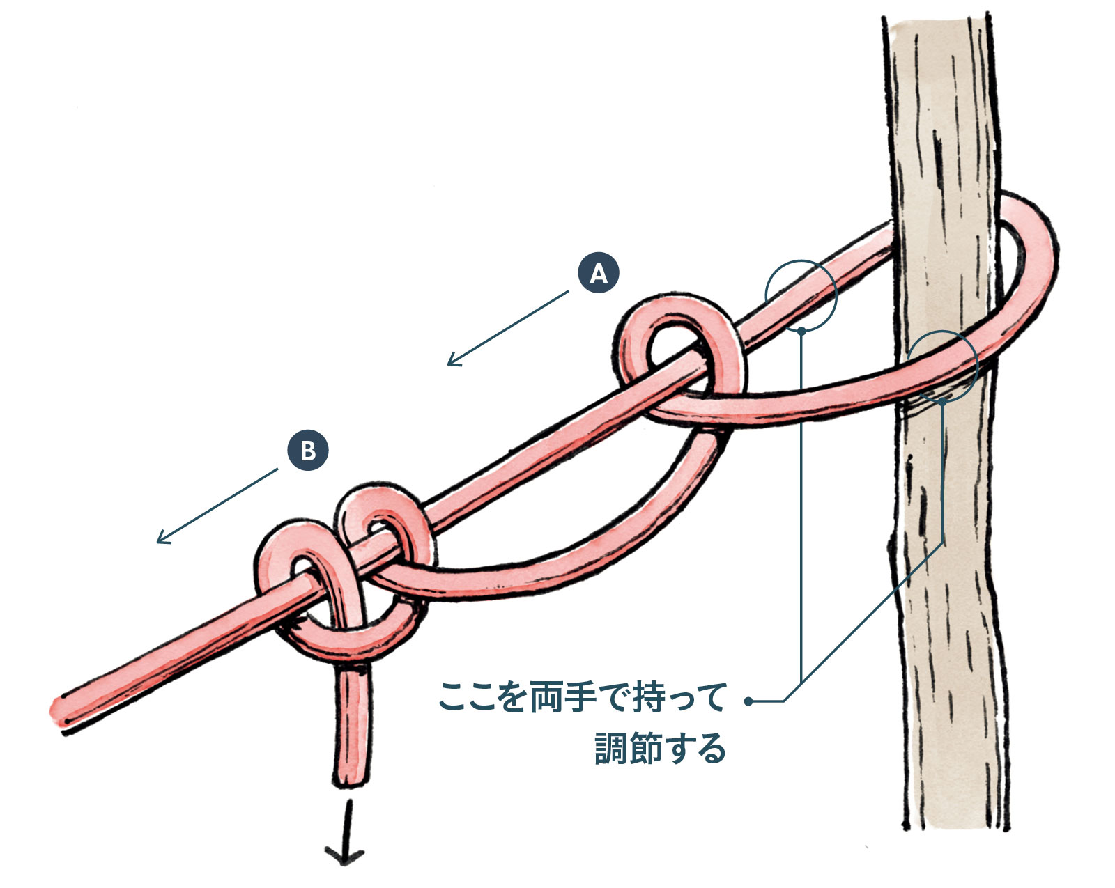 キャンプで使えるロープワーク３選！「自在結び」がとにかく万能！？Enjoy the Outdoors