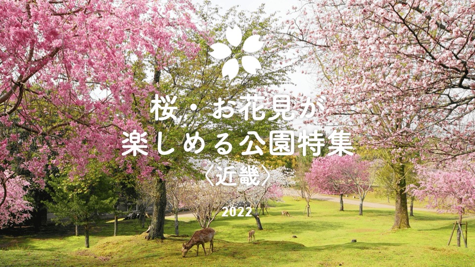 滋賀県】第８回びわ湖一周ロングライド2019 3/10開催決定！ サイクルスポーツのニュース | サイクルスポーツ.jp